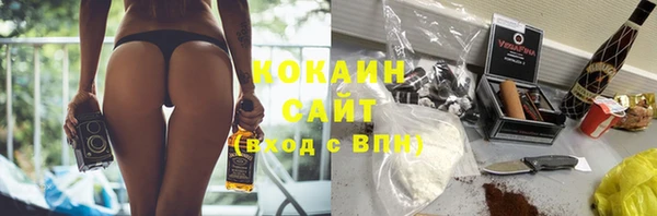соль ск Алексеевка
