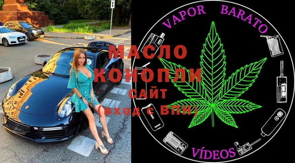 дмт Алексин