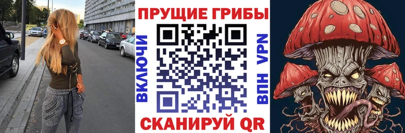 Псилоцибиновые грибы прущие грибы даркнет сайт Цивильск